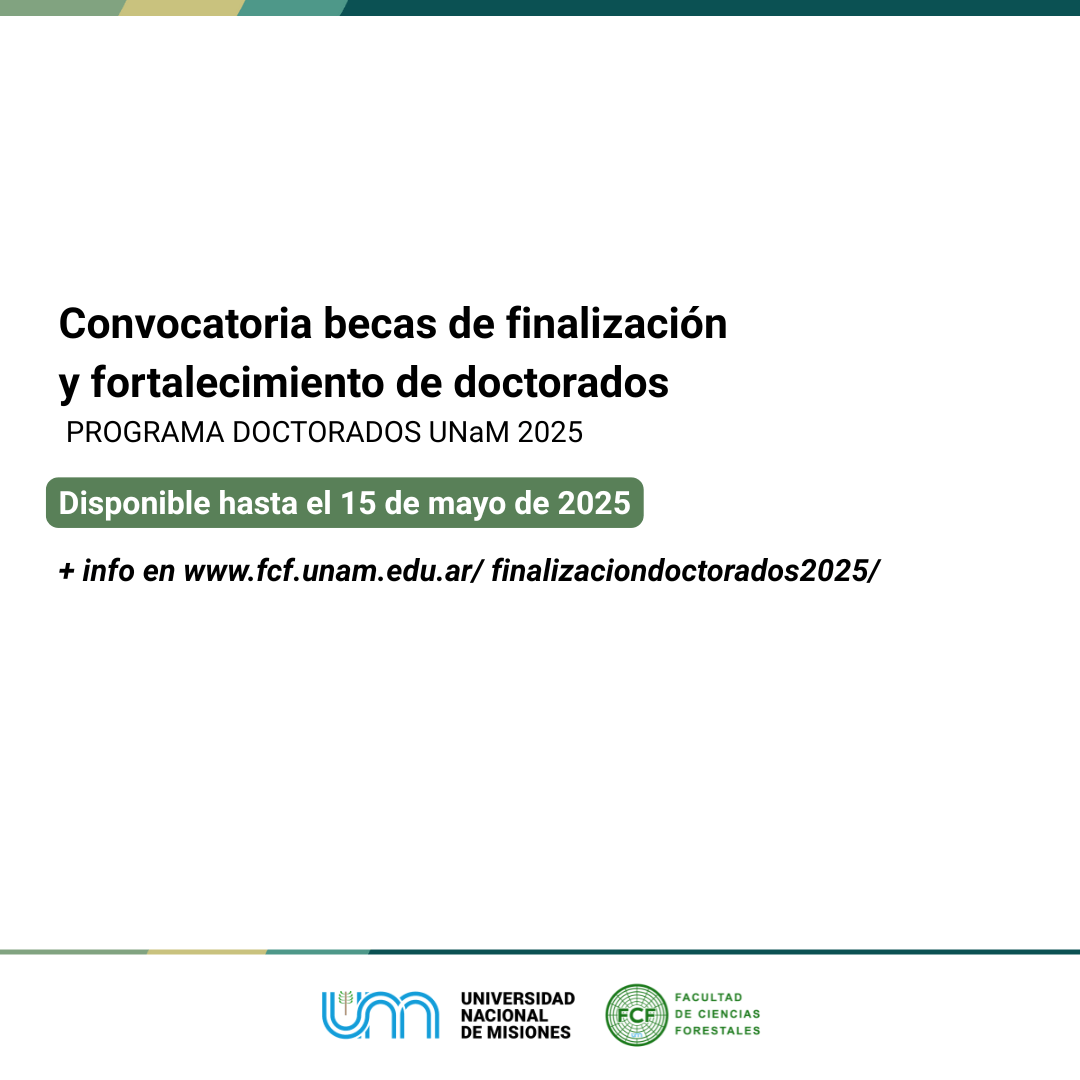 Convocatoria becas de finalización y fortalecimiento de doctorados 2025 ...